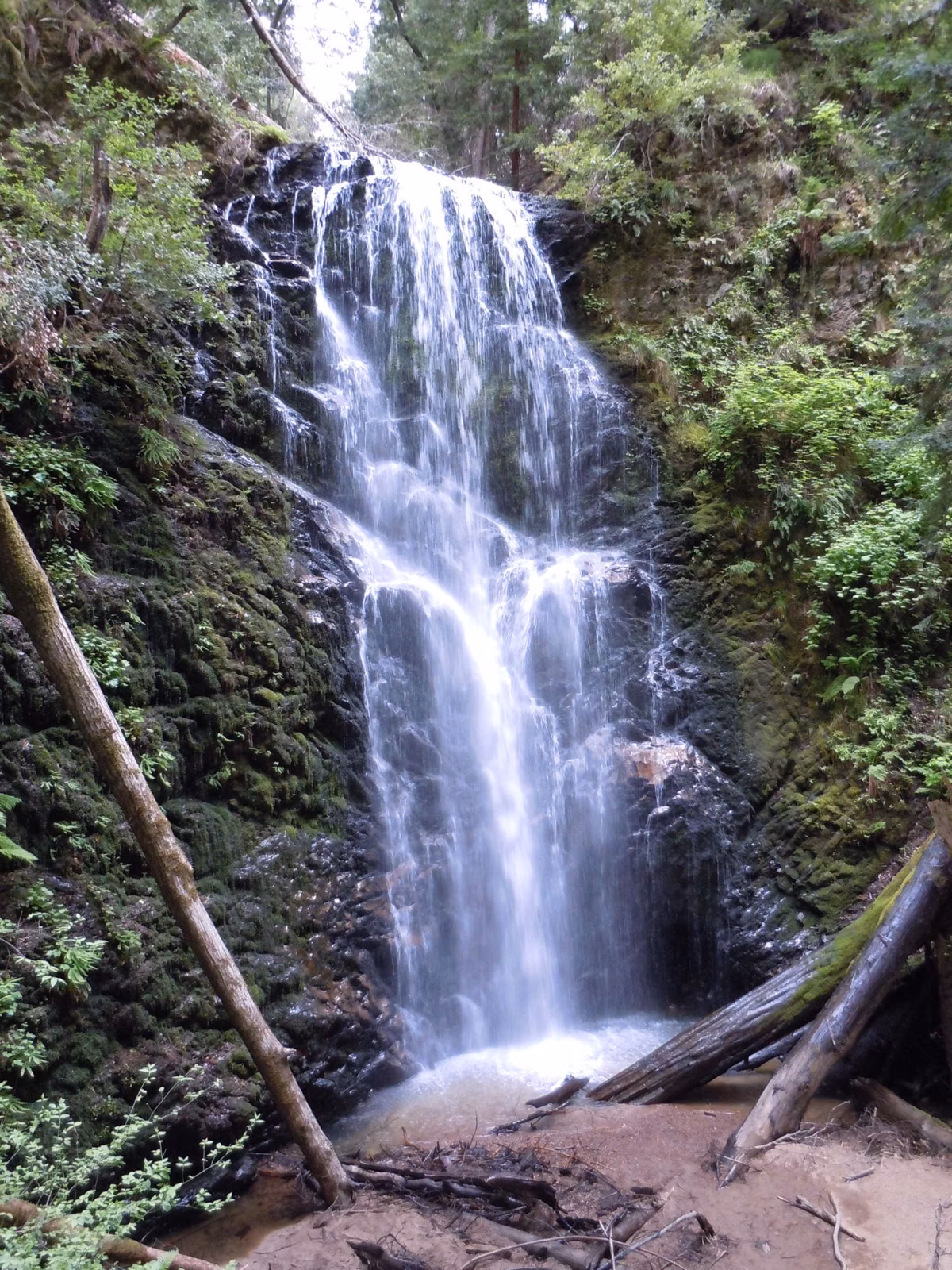 Berry Creek Falls spilling down a mossy cliff in Big Basin Redwoods State Park