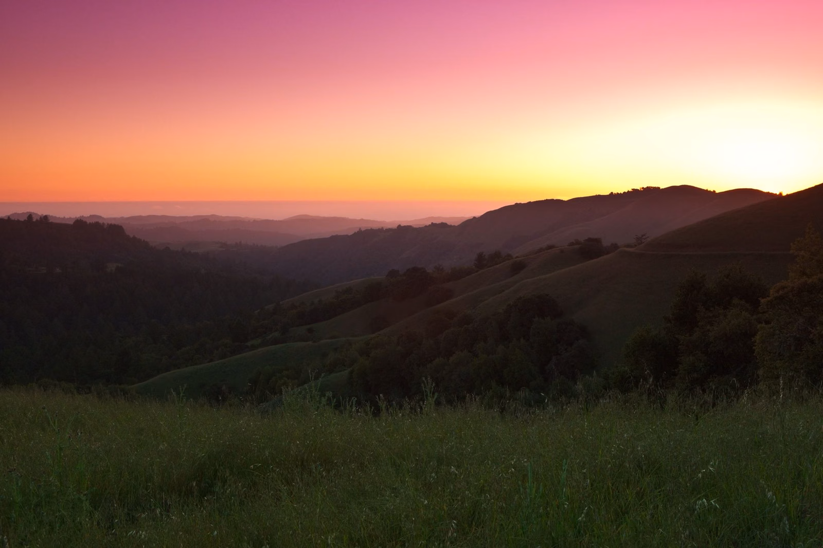 Sunset glow over rolling grassy ridges and forested canyons at Russian Ridge